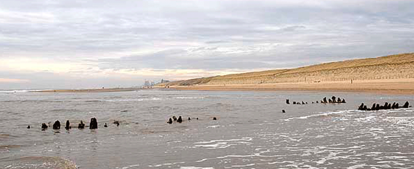 Zandvoort Beach for Amsterdam