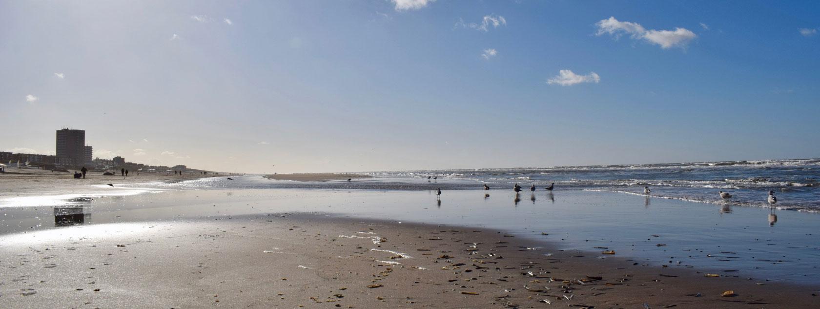 Zandvoort Beach for Amsterdam