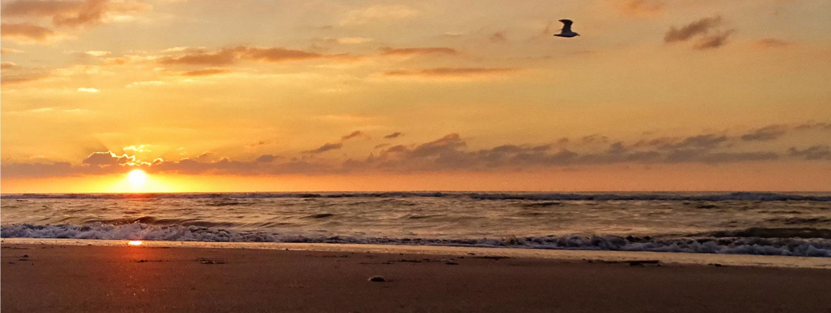 Zandvoort Beach for Amsterdam