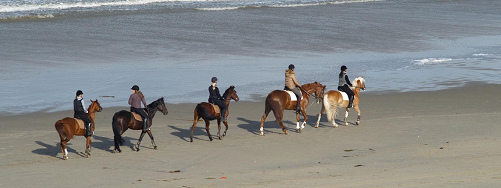 Zandvoort Beach for Amsterdam